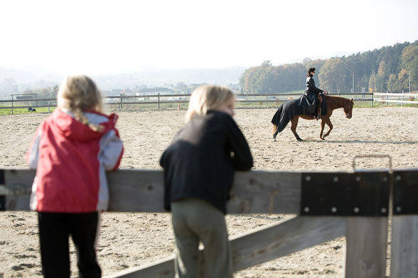 freestyle reining - 