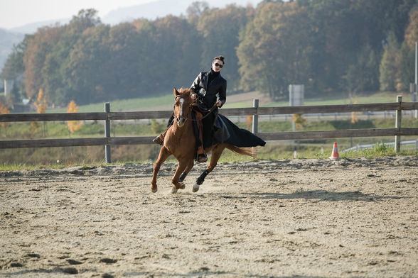 freestyle reining - 