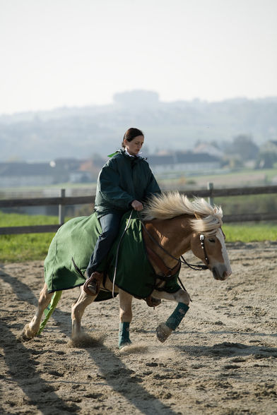 freestyle reining - 