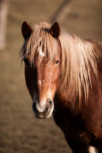 unsere süßen ~~ gaaaaaaanz flauschig - 