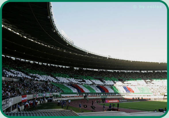 SK Rapid Wien und seine Ultras - 