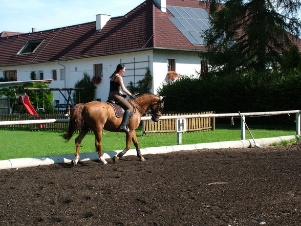 meine jungs "klappe die zweite" - 