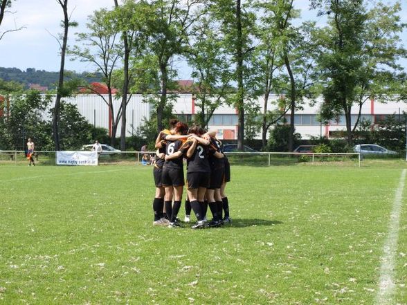 Rugby Bundesliga 09 -7s Krems - 