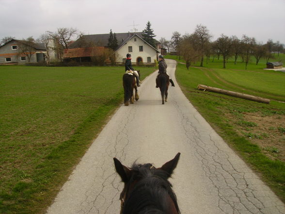 Ausreiten ist jo ssoooooo schön!!! - 