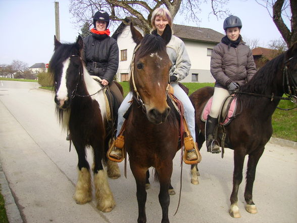 Ausreiten ist jo ssoooooo schön!!! - 