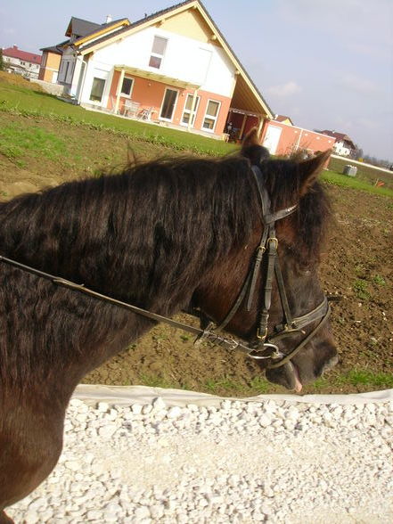 Ausreiten ist jo ssoooooo schön!!! - 