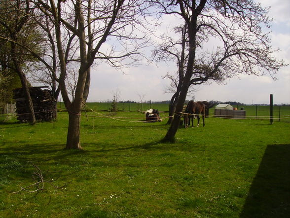 Ausreiten ist jo ssoooooo schön!!! - 