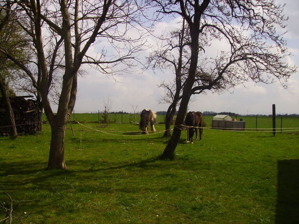 Ausreiten ist jo ssoooooo schön!!! - 