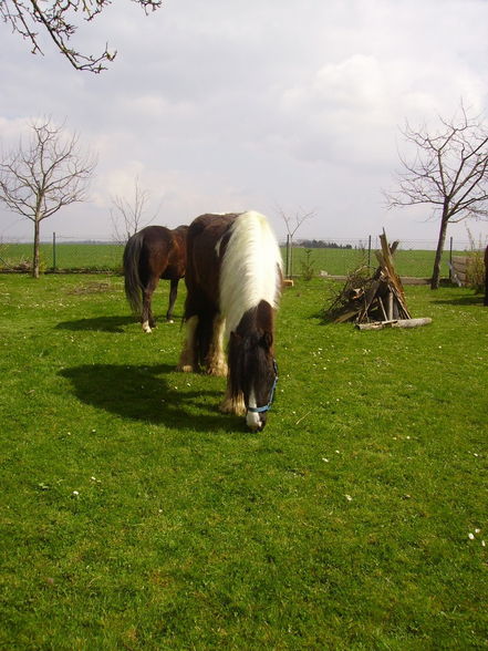 Ausreiten ist jo ssoooooo schön!!! - 