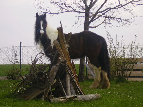 Ausreiten ist jo ssoooooo schön!!! - 