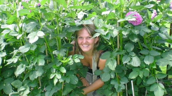 Chiemsee August 2008 - 