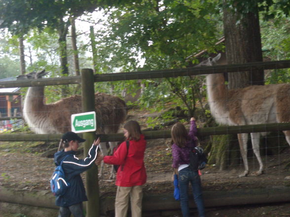 Tierpark mit den kleinen - 