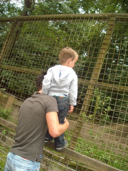 Tierpark mit den kleinen - 