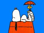 Snoopy - 