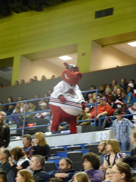 ICEHOGS GO!!!!!! - 