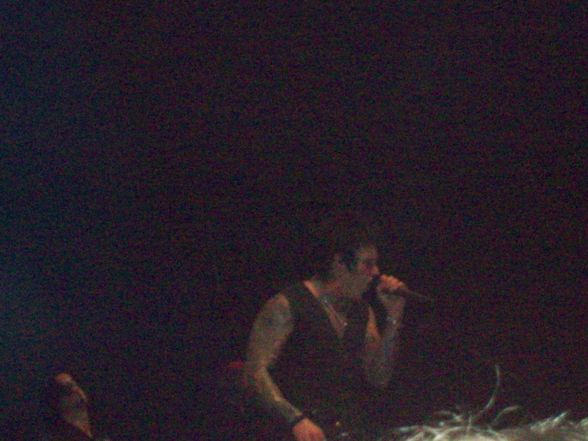 Papa Roach 2009 - 