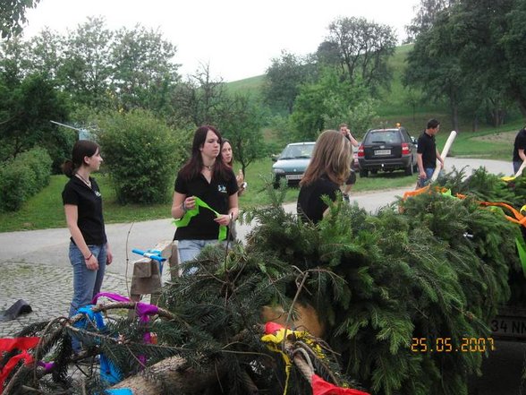 Maibaum zurückbringen Karlsbach 07 - 