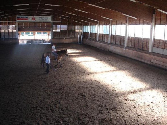 Reiten - 