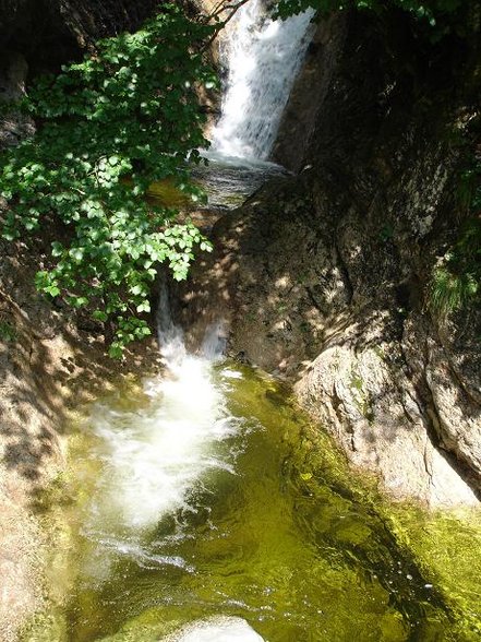 Wandern 13.8.07 Ebensee-Gasselhöhle - 