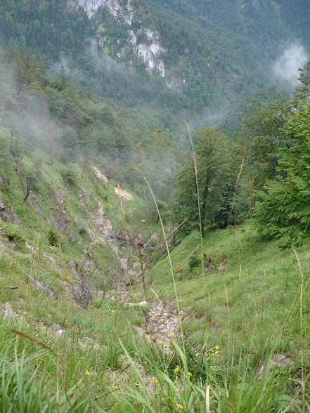 Wandern 13.8.07 Ebensee-Gasselhöhle - 