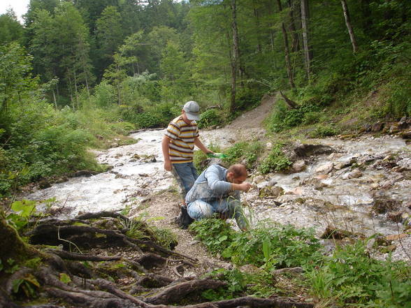 Steyr Ursprung 16.8.2006 - 