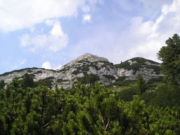 Wanderung Rinnerkogel - 