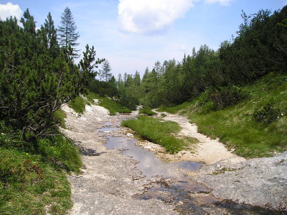 Wanderung Rinnerkogel - 