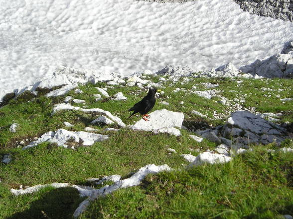 Wanderung Schönberg - 