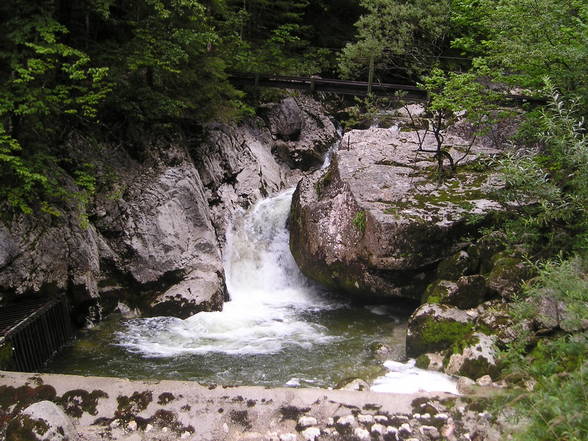 Wanderung Schönberg - 