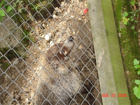 Tierparkausflug mit Tante Mely u.Oma - 