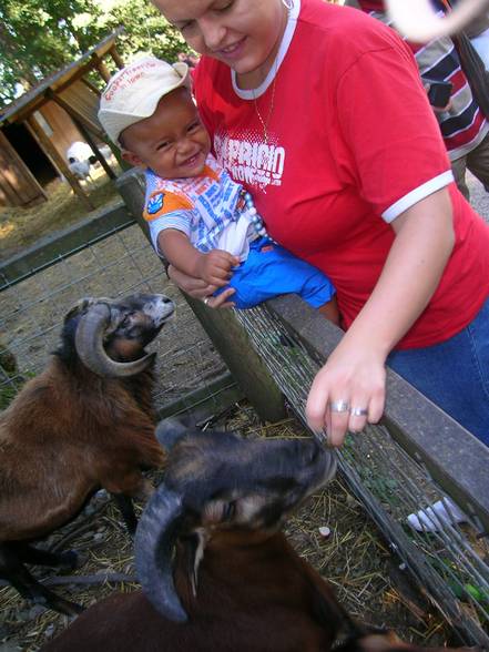 Tierparkausflug mit Tante Mely u.Oma - 