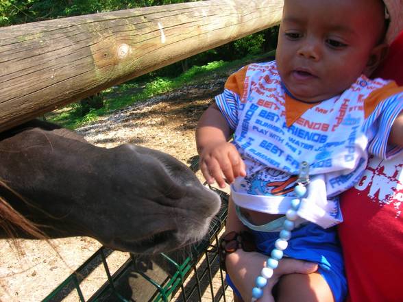 Tierparkausflug mit Tante Mely u.Oma - 