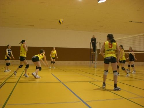 most important~>Volleyball - 