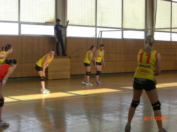 most important~>Volleyball - 