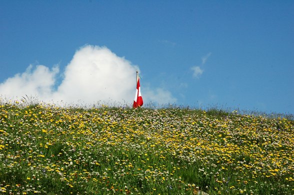 Großglockner -Ausflug - 