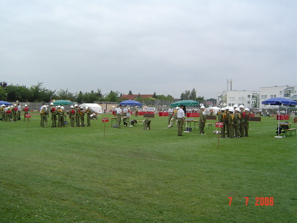 Landesbewerb 2006 - 