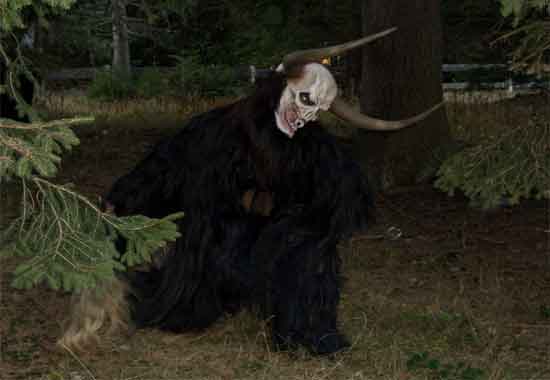 auftritte krampus - 