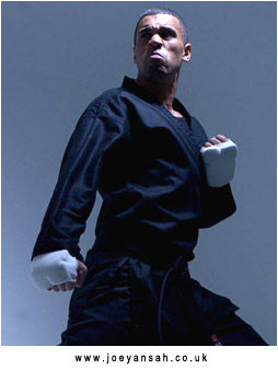 best Martial Artists  - 