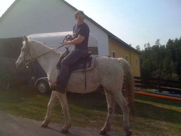 Reiten - 