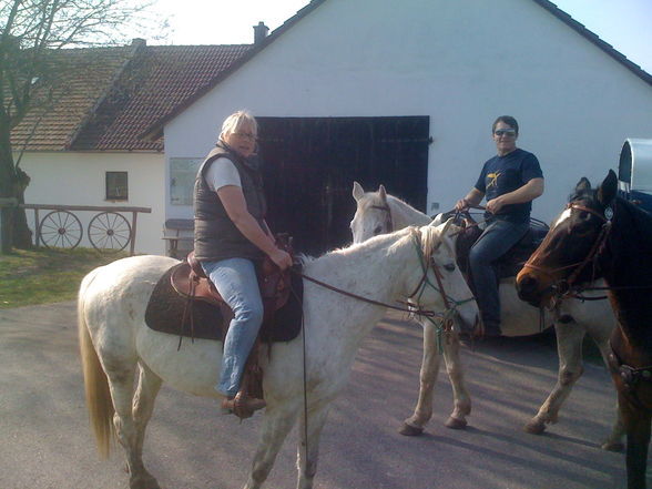 Reiten - 