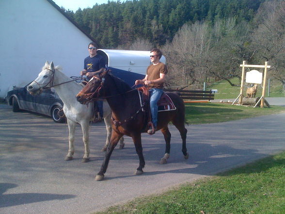 Reiten - 