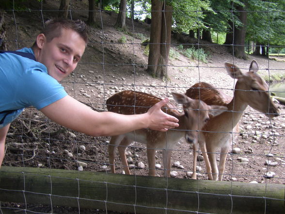 Tierpark Haag - 