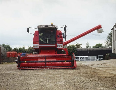 Massey Ferguson - 