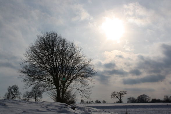 Landschaftsfotos von Mir - 