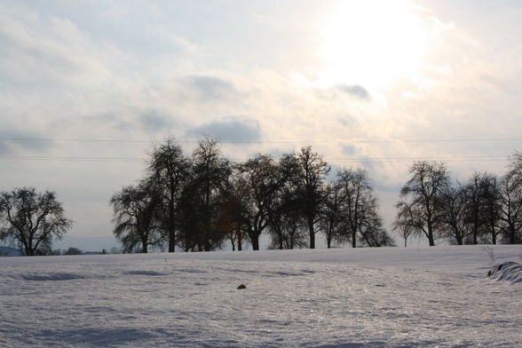 Landschaftsfotos von Mir - 