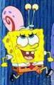 de meistn san spongebob schwammkopf!!!!! - 