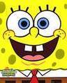 de meistn san spongebob schwammkopf!!!!! - 