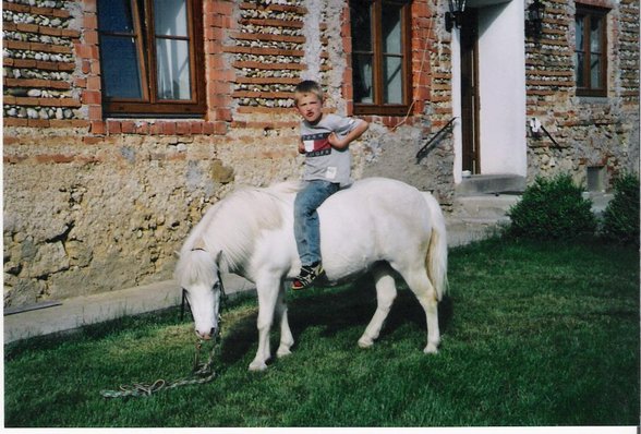 Mein Pony - 