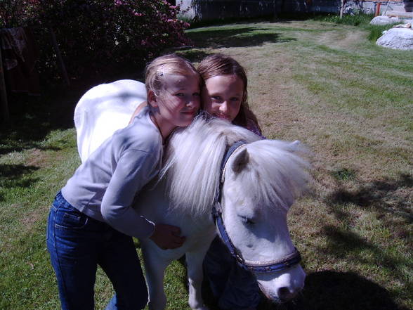 Mein Pony - 