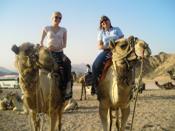 Ägypten 2008 - Traumurlaub.... - 